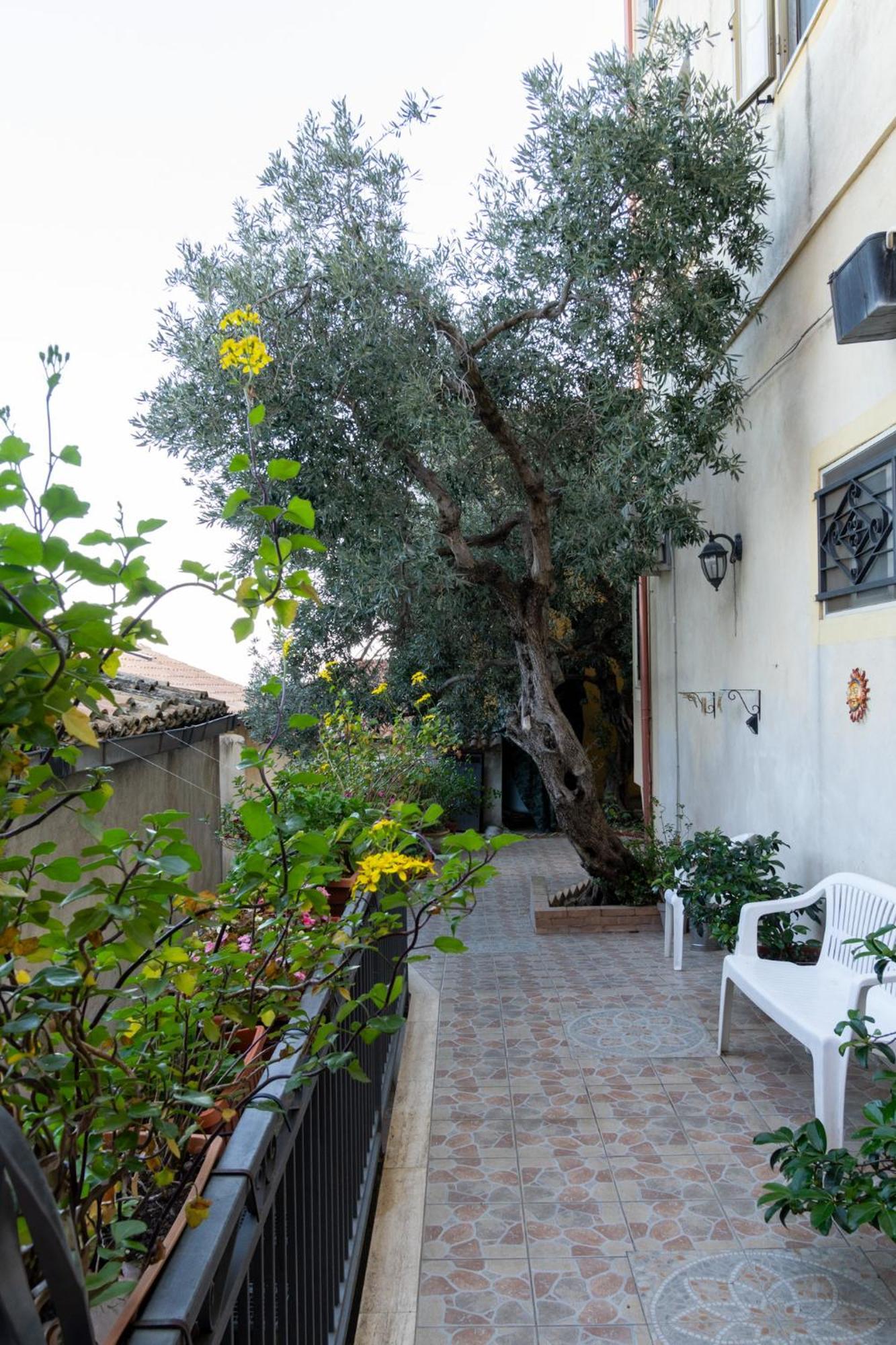 Appartamento Per Turisti Mesovia Santa Severina Exterior foto